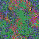 World at epoch 16000