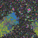 World at epoch 5000