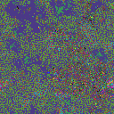 World at epoch 25000