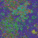 World at epoch 35000