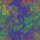 World at epoch 40000