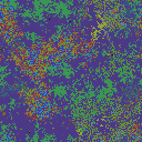 World at epoch 45000
