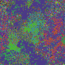 World at epoch 50000