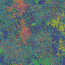 World at epoch 55000