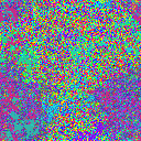 World at epoch 25000