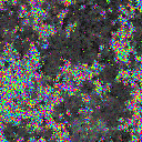World at epoch 10000