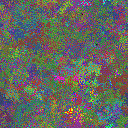 World at epoch 10000
