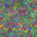 World at epoch 19000