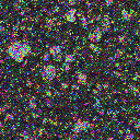 World at epoch 20000