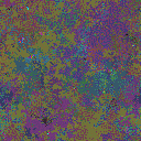 World at epoch 8000