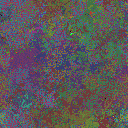 World at epoch 17000