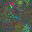 World at epoch 19000