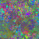 World at epoch 19000