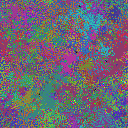 World at epoch 19000