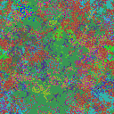 World at epoch 25000