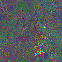 World at epoch 10000