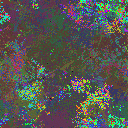 World at epoch 11000