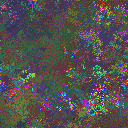 World at epoch 12000