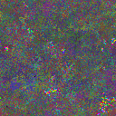 World at epoch 20000