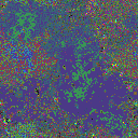 World at epoch 19000