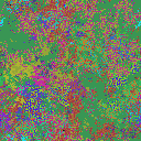 World at epoch 35000