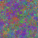 World at epoch 10000