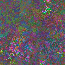 World at epoch 23000