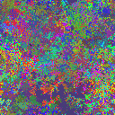 World at epoch 25000