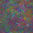 World at epoch 24000