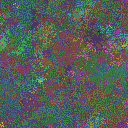 World at epoch 25000