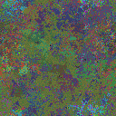 World at epoch 25000
