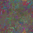 World at epoch 25000