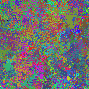 World at epoch 25000