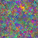 World at epoch 25000