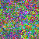 World at epoch 25000