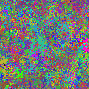 World at epoch 29000