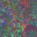World at epoch 25000