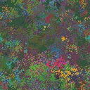 World at epoch 23000