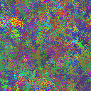 World at epoch 35000