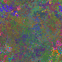 World at epoch 25000