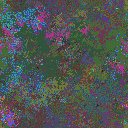 World at epoch 25000