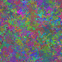 World at epoch 40000