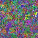 World at epoch 40000