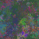 World at epoch 25000