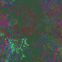 World at epoch 25000