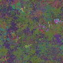 World at epoch 26000