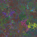 World at epoch 26000