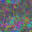 World at epoch 31000