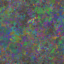 World at epoch 31000