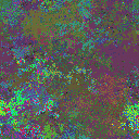 World at epoch 28000